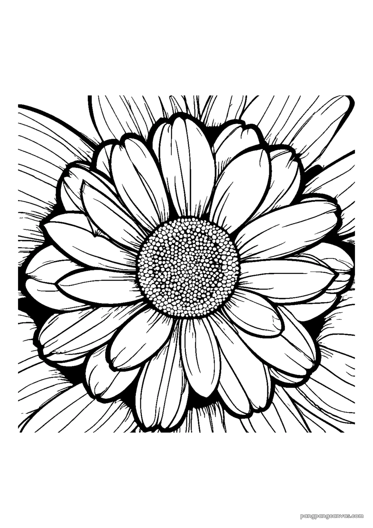 데이지 들꽃 색칠공부 도안 무료 프린트