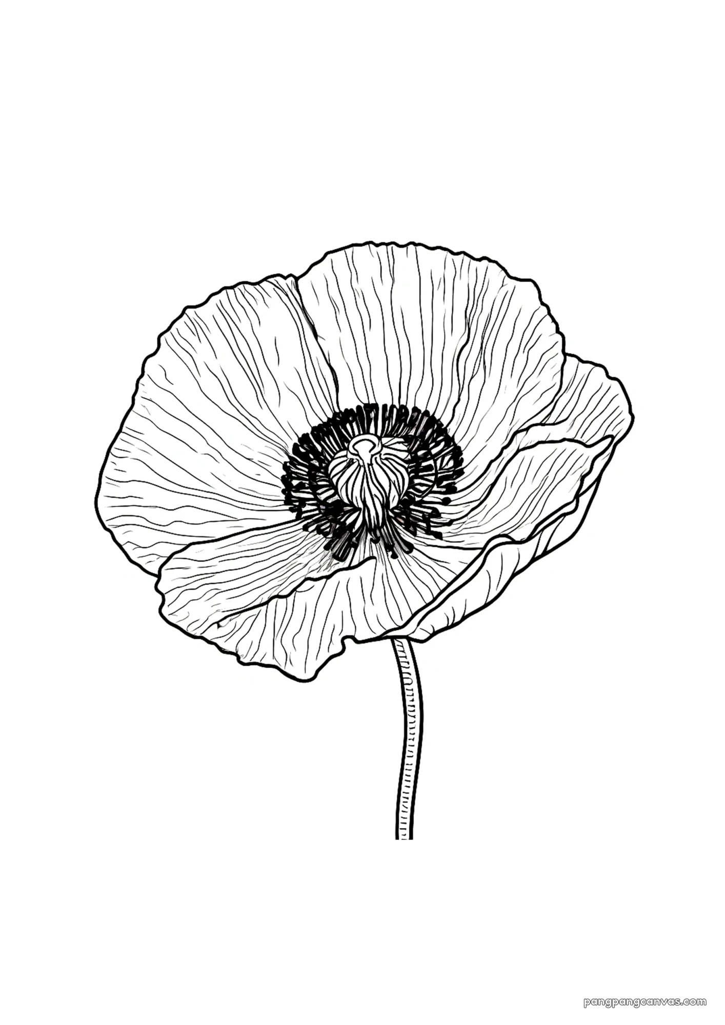 poppies meadow coloring page 무료 프린트