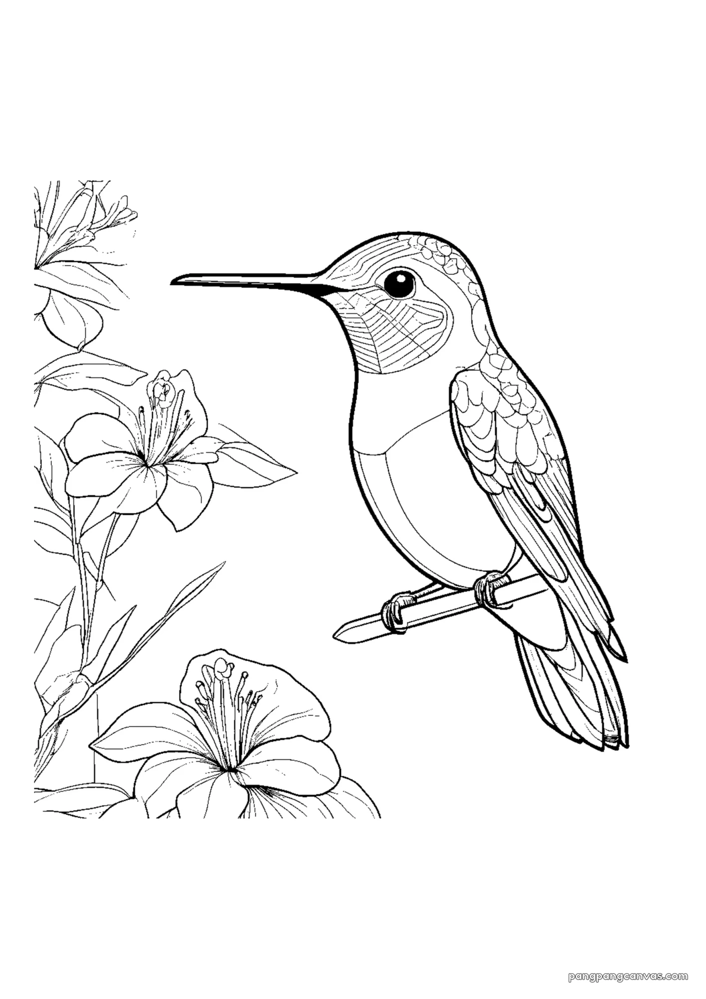 호접 hummingbird 숲 색칠공부 도안 무료 프린트